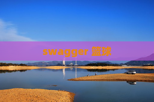 swagger 篮球 swagger 篮球